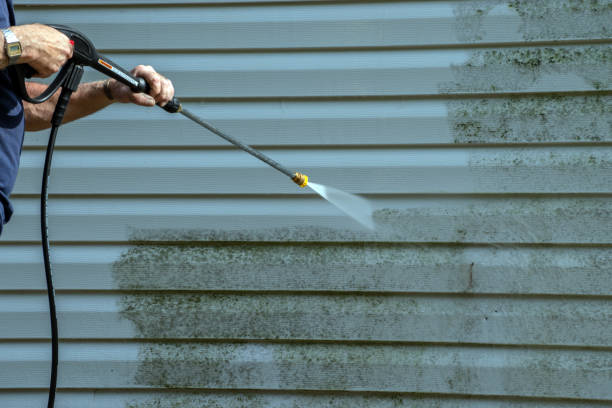 Best Roof Pressure Washing  in Estero, FL