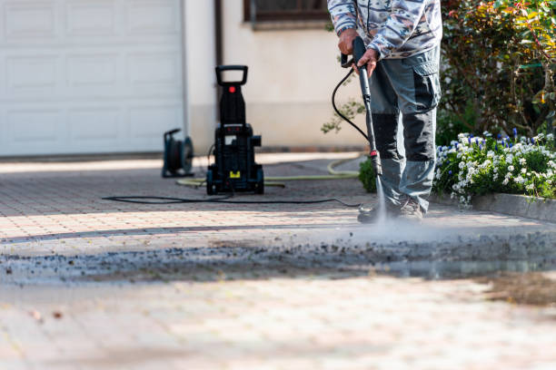 Best House Pressure Washing  in Estero, FL