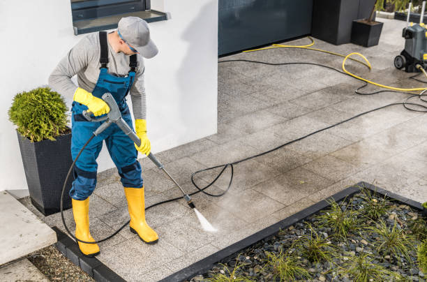 Best House Pressure Washing  in Estero, FL